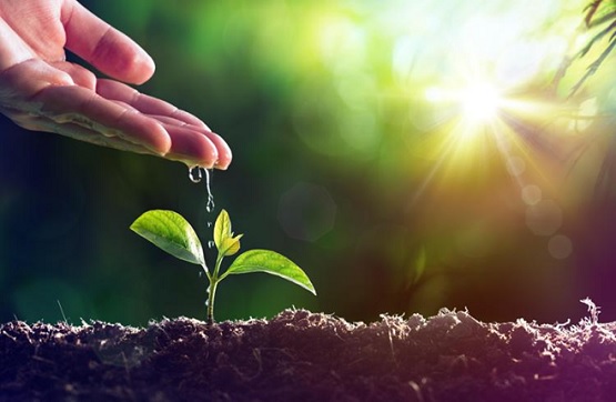 AgriWater4's tweet photo. Workshop PON Water4AgriFood - OR 2: GREEN WATER “Nuove tecniche di aridocoltura per aumentare l’efficienza d’uso dell’acqua”
📆 𝟐𝟒 𝐧𝐨𝐯𝐞𝐦𝐛𝐫𝐞 𝟐𝟎𝟐𝟐 👇👇👇👇
https://t.co/CWwsYIeuOw https://t.co/hMkygEOsOE