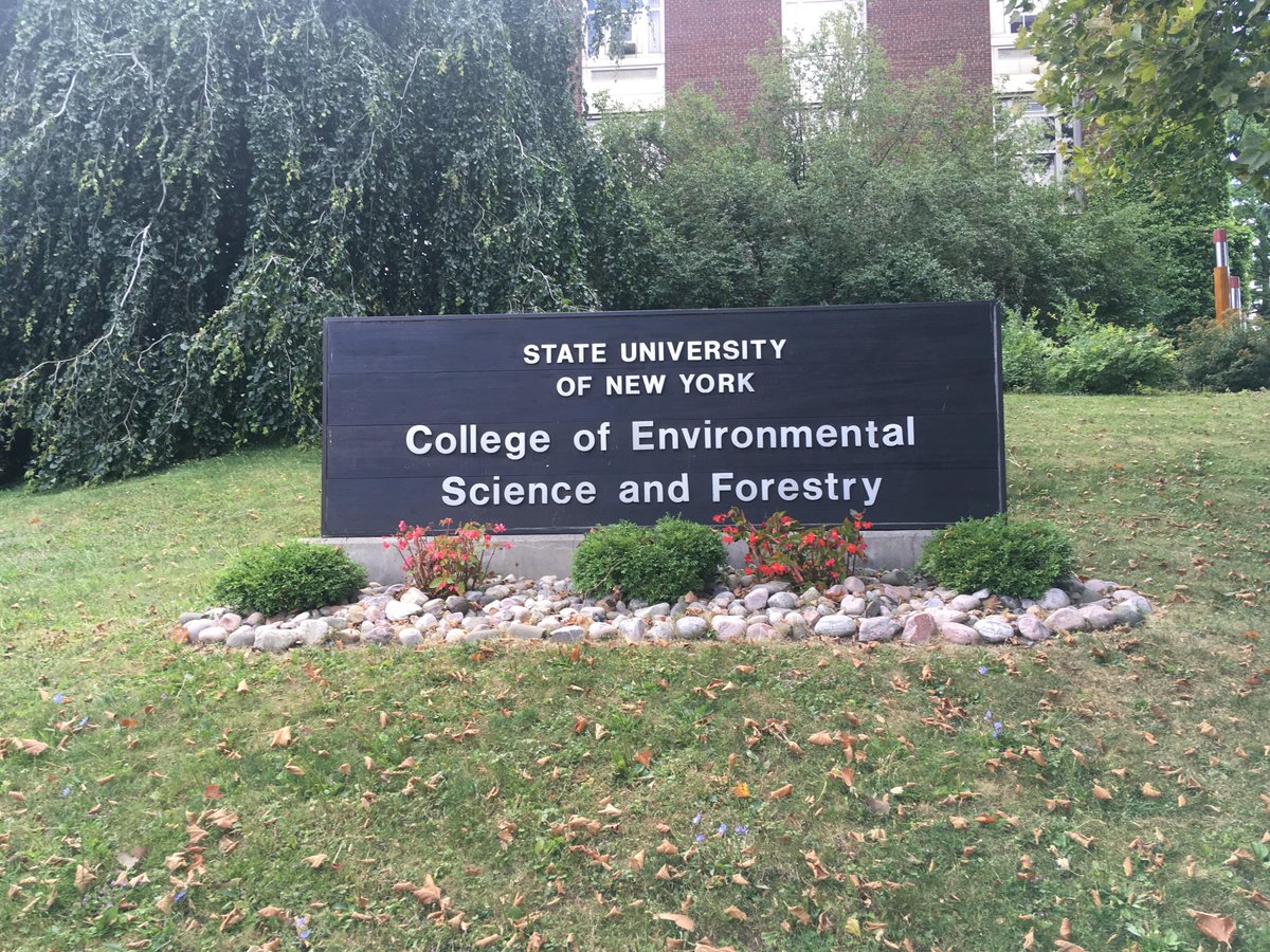 Emily Arsenault tweet media