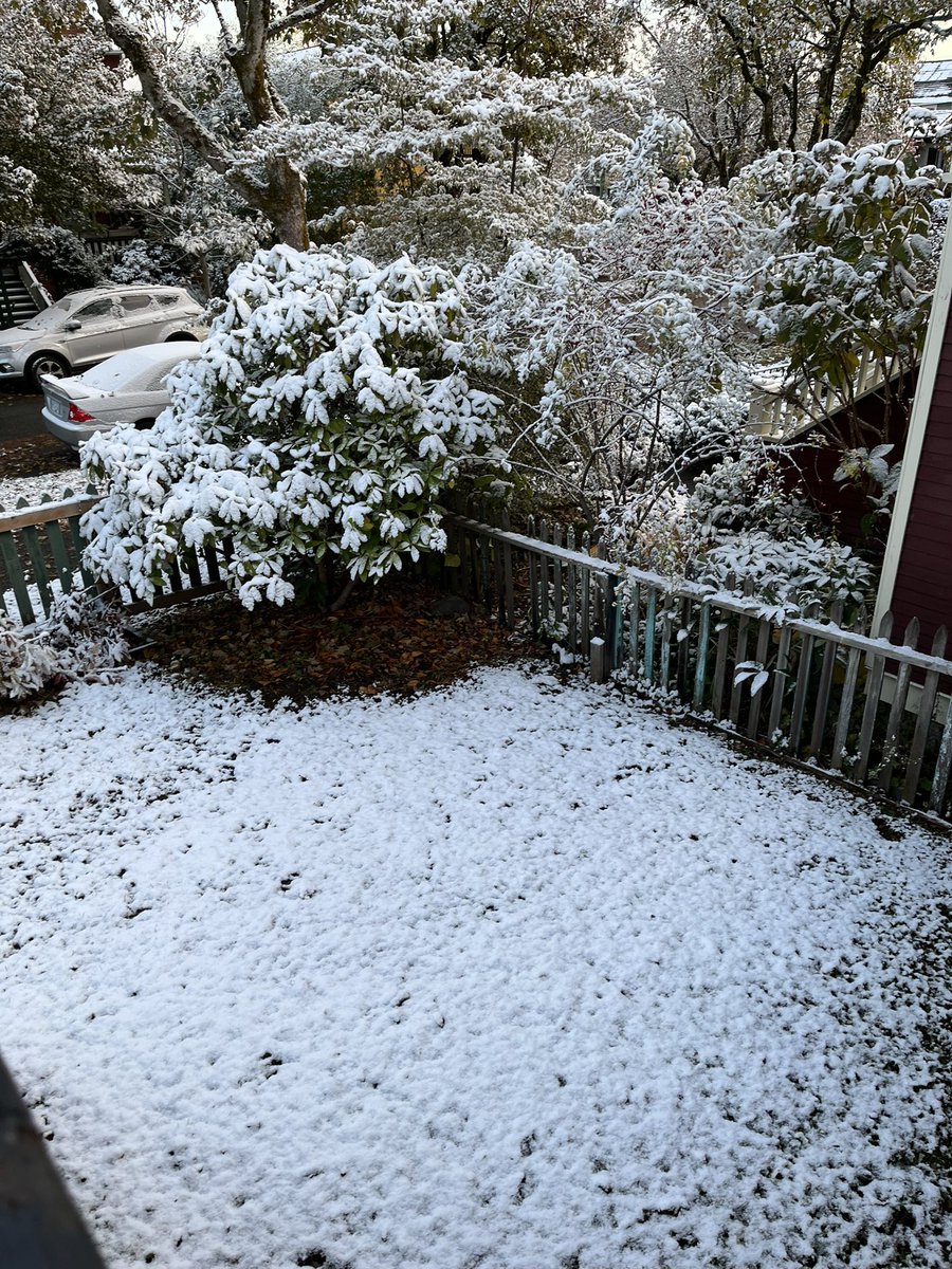 melanie kuxdorf tweet media