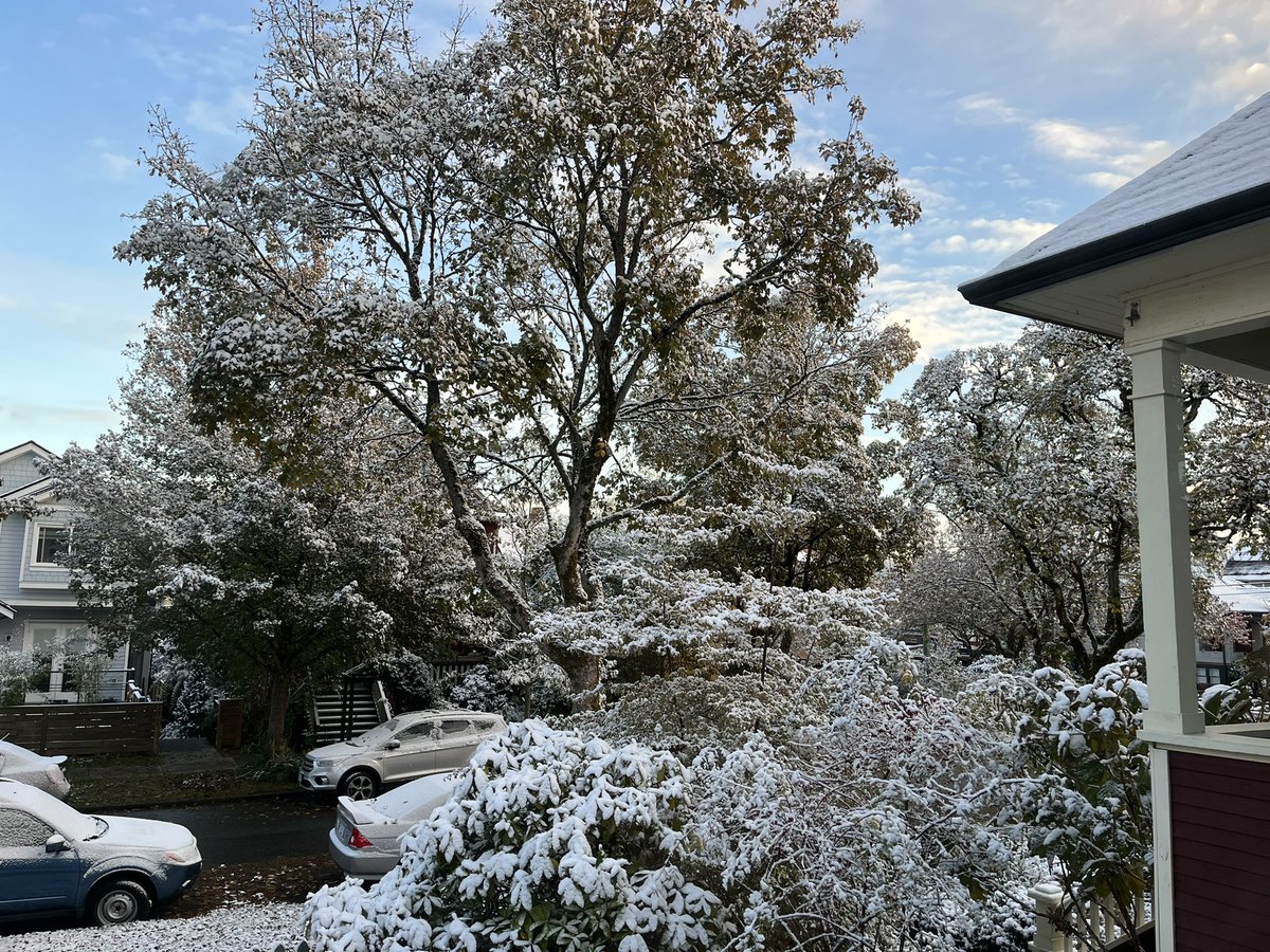 melanie kuxdorf tweet media