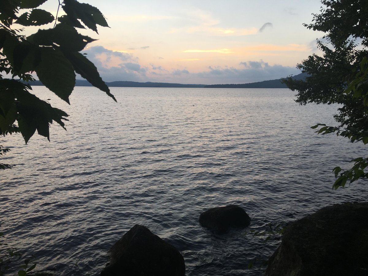 Emily Arsenault tweet media