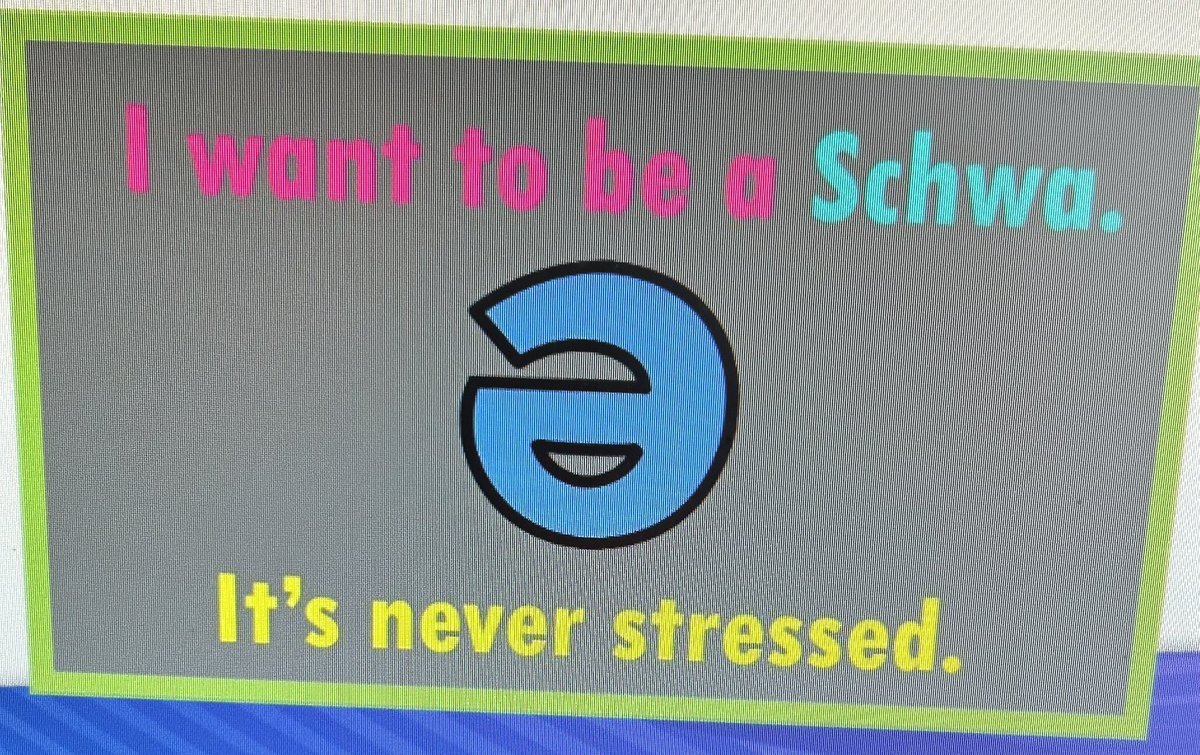 Debbie Wedding tweet media