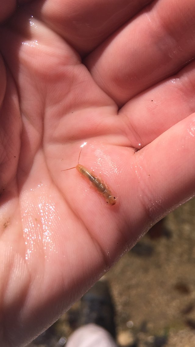 Emily Arsenault tweet media