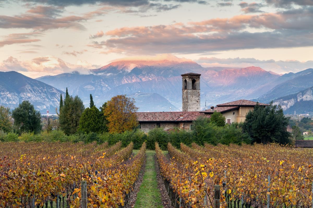 WineNewsIt's tweet photo. Tra i protagonisti della ristorazione e i gourmet d’Italia e del mondo l’attesa è finita: dalla @Franciacorta, dove c’è anche WineNews, la Guida #MichelinGuideIt 2023 è pronta a svelare, nell’edizione 68, le stelle della #cucinaitaliana nella “#MichelinStar23 Revelation Italia” https://t.co/XxR2Jayixa