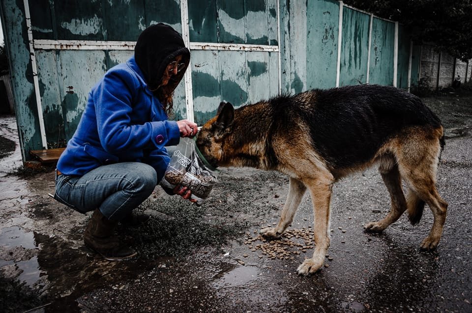 SelenaCaamano's tweet photo. The Animal Crisis Continues 🥹
Family dogs & cats, abandoned, alone, wander the streets looking for their lost families.
💔
A village came together to help this very sweet dog, but unfortunately she was just too far gone.
Her heart stopped (story below)
📷#Nicktadd for🐦@uwarf1 https://t.co/nv1X6v81Hg