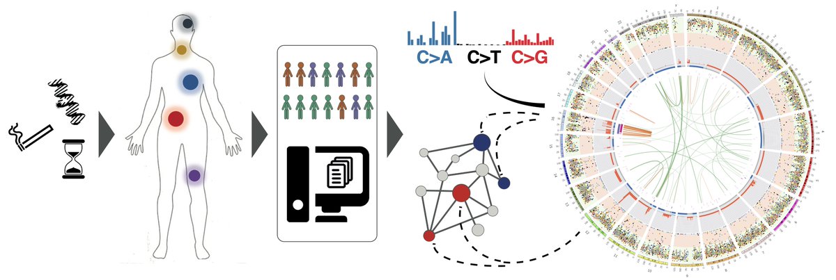 Want to study how cancer evolution and cellular plasticity drive drug resistance using statistical modelling, bioinformatics and machine learning approaches? We have a postdoc position available, 1 week left to apply: tinyurl.com/2p9n5ssx Please RT.