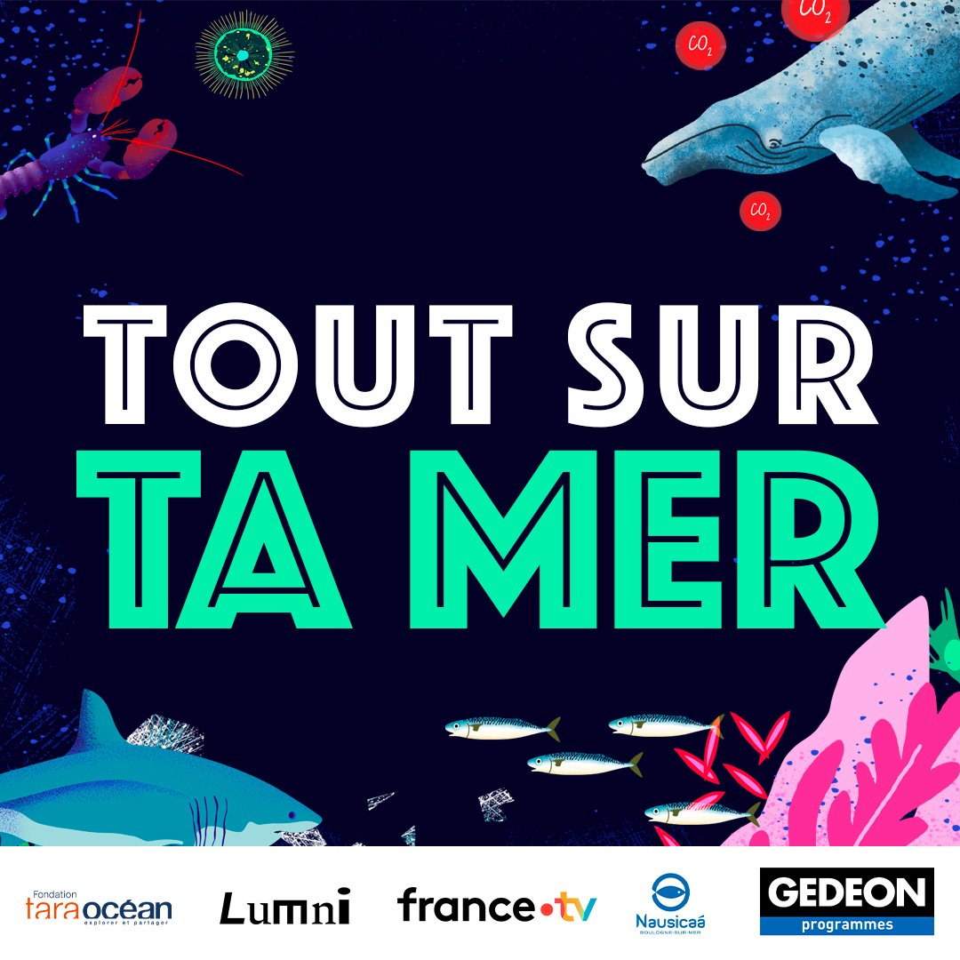 TaraOcean_'s tweet photo. Lancement de la série #ToutSurTaMer : 20 épisodes de 5min pour comprendre le rôle essentiel de l'#Océan. Disponible gratuitement sur la plateforme éducative @LumniFR en collaboration avec la Fondation Tara Océan 🌊
👉https://t.co/up6nmbLtV2
#COP27 #education https://t.co/gcPuwWHz57