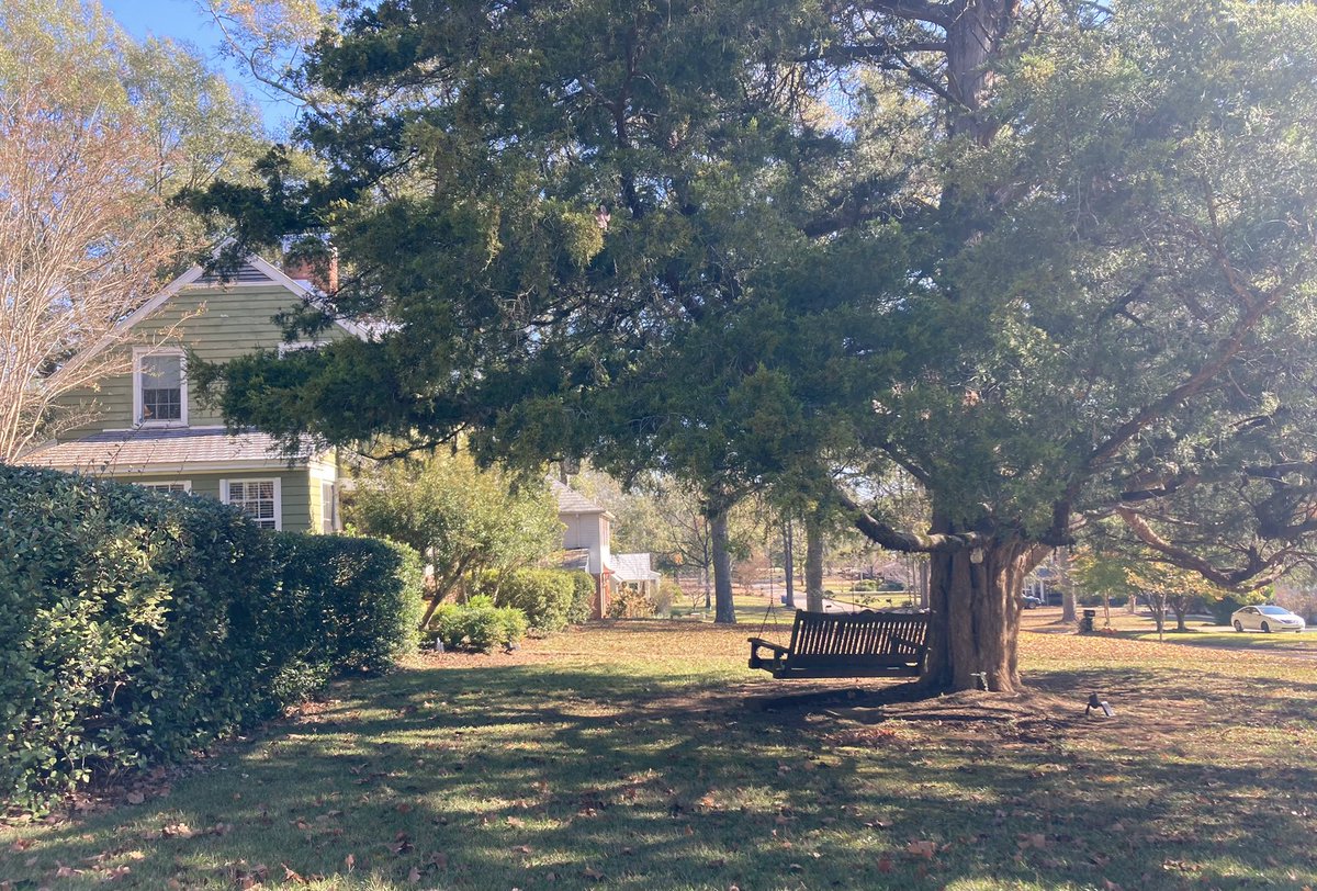CahabaHHF's tweet photo. Some tree swings are just as treasured as porch swings around the #CahabaProject, especially this time of year! https://t.co/RTCyzBHZfY
