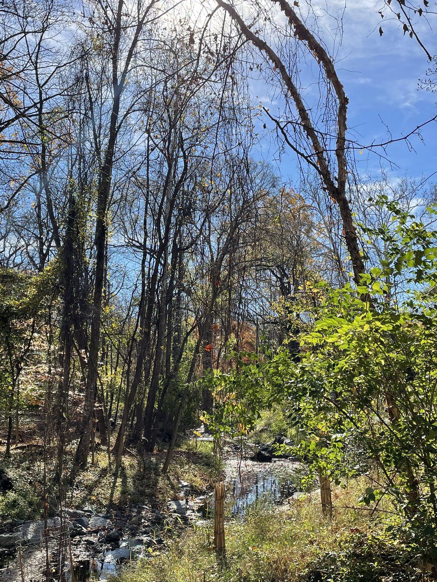 It’s a beautiful day to take a walk to your local polling place! #GetOutAndVote #vote2022 #Democracy