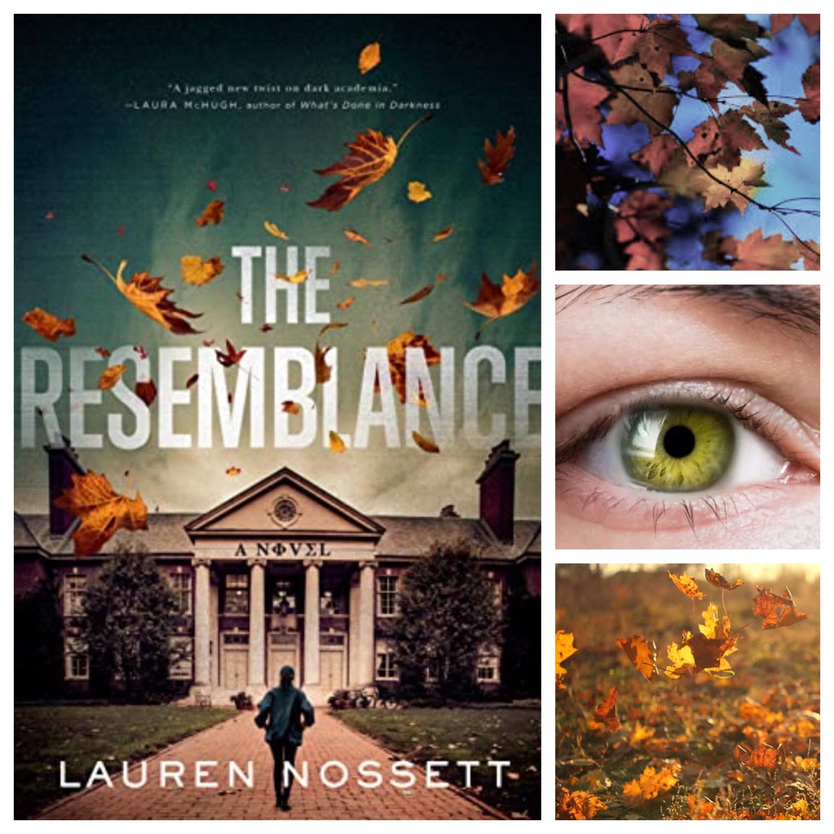 Published today! Solid mystery about Greek life in the Old South! ⭐️⭐️⭐️⭐️ #TheResemblance #LaurenNossett #NetGalley #FlatironBooks #BookTwitter