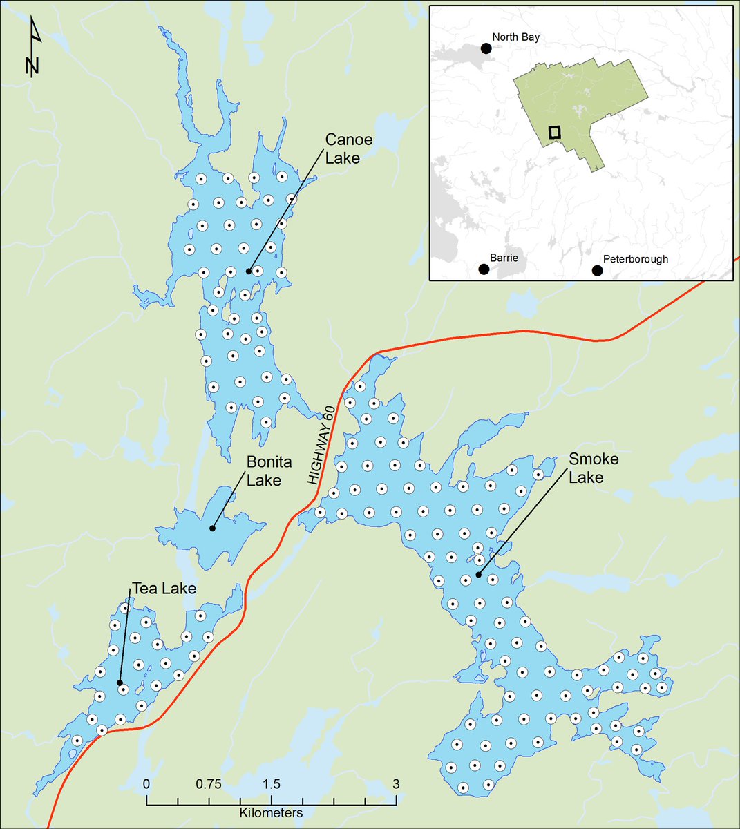 OpeongoTweets's tweet image. The Smoke Canoe Tea Lakes acoustic network - fish movement within and among a lake network. Now its getting interesting ....
@bailey_mcmeans @mccannlab @fisk_lab @EFD_Toronto  @AlgonquinPark 

harkness.ca/download/2266/