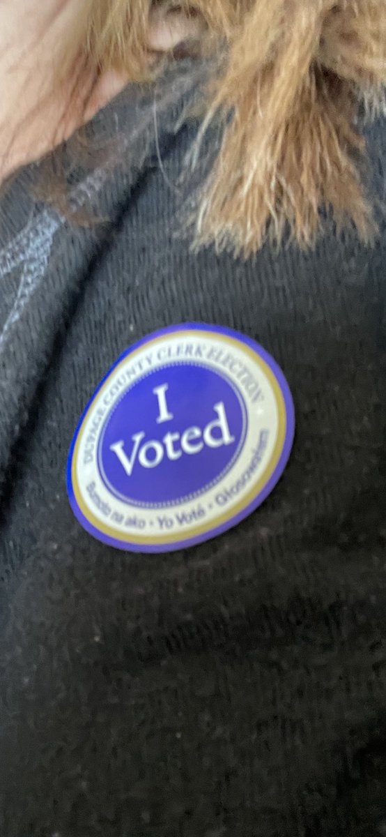 I voted! Thanks <a href="/DuPageCounty/">DuPage County</a> for opening so many locations and running it so efficiently.