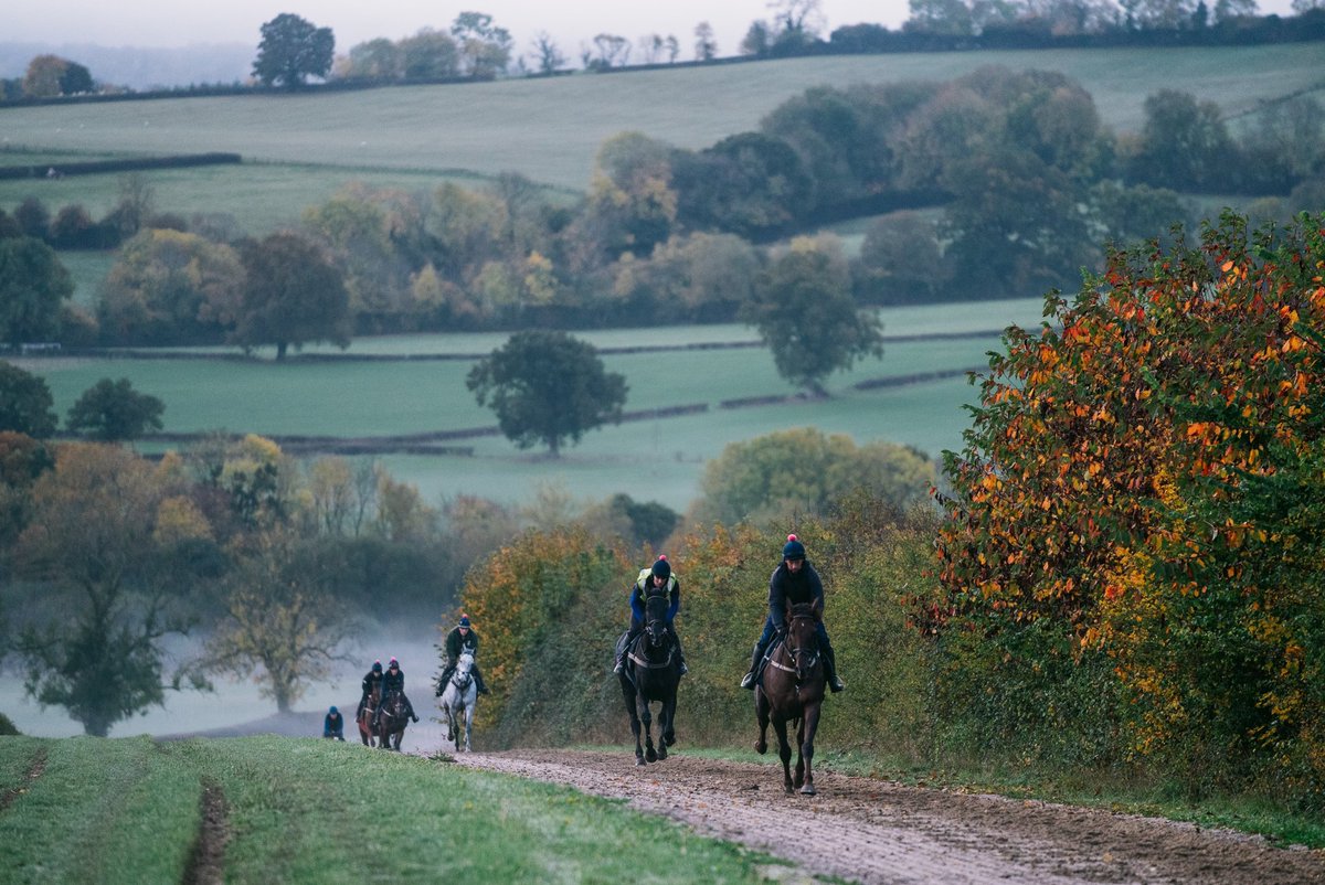 FOBRacing's tweet photo. We’re looking for an additional staff member to join us at #MartinsHill

Applicants need to ride well and have a good sense of humour and appetite 

Please share this if you know someone it might suit https://t.co/nnqi1SBLif