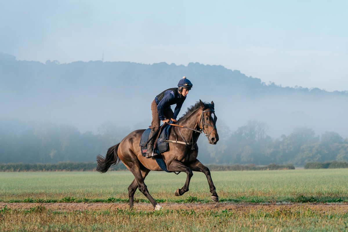FOBRacing's tweet photo. We’re looking for an additional staff member to join us at #MartinsHill

Applicants need to ride well and have a good sense of humour and appetite 

Please share this if you know someone it might suit https://t.co/nnqi1SBLif