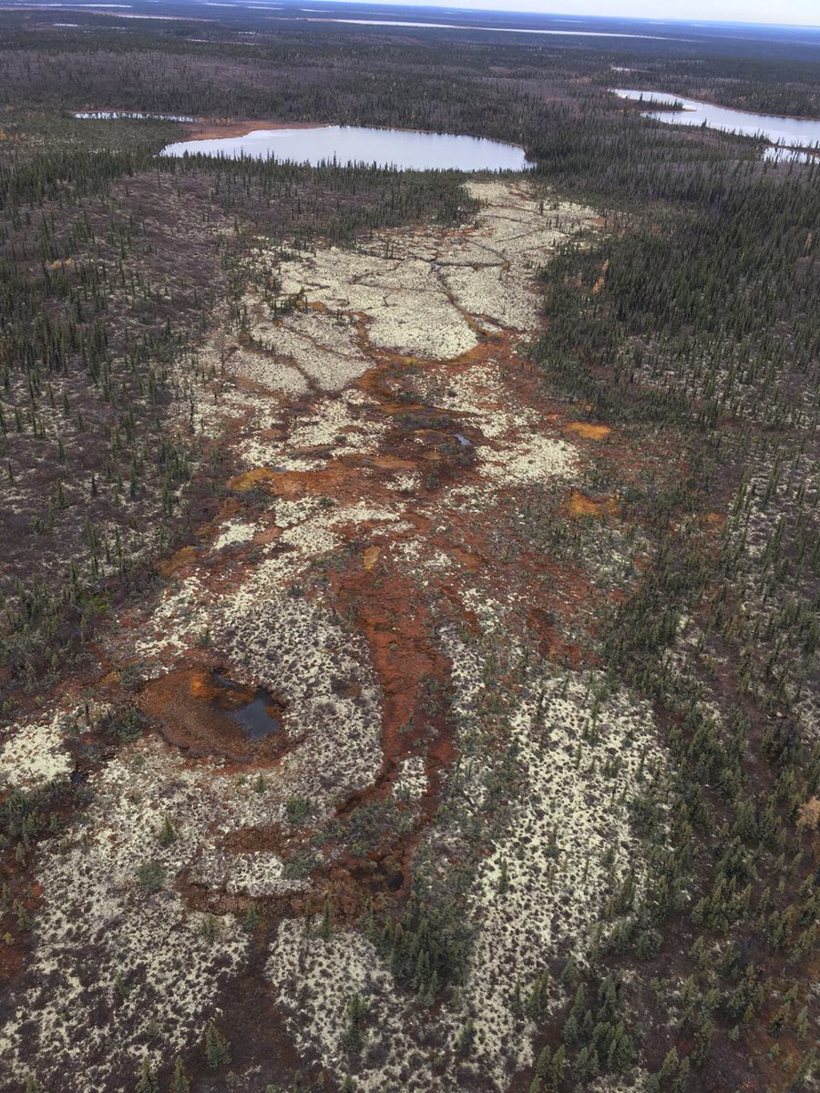 New Open File by PhD student Anne Nguyen on our joint <a href="/ArcticNet/">ArcticNet</a> <a href="/GSC_CGC/">Geological Survey/Commission géologique Canada</a> funded project on boreal #peatlands in the #gwichinsettlementarea. Summary and foreward in Gwich'in geoscan.nrcan.gc.ca/starweb/geosca…) via <a href="/NRCan/">Natural Resources</a> <a href="/CarletonScience/">Carleton Science</a>