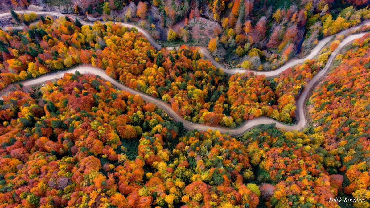 DilekKcbas's tweet photo. Burası YENİCE ! Sonbaharın en güzel yaşandığı şehir🍂🍁🍃 Her ağaçta farklı renk, ayrı bir güzellik var. Sonbaharda YENİCE tablo gibi. Objektifimden YENİCE ORMANLARI 📷☺️

📍Yenice-Karabük https://t.co/mzgmtSFUyP