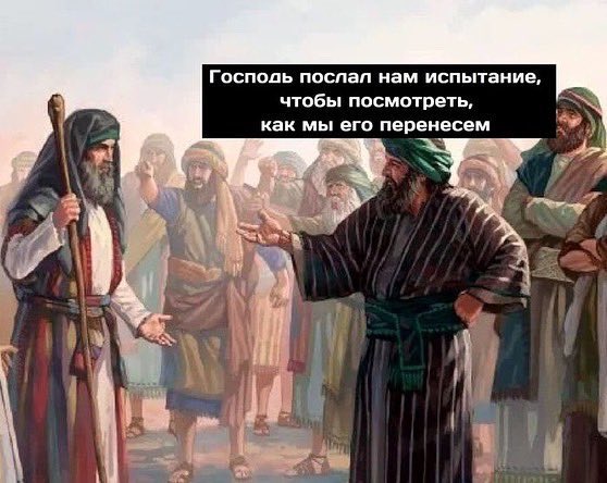 SiKandinskogo's tweet image. 