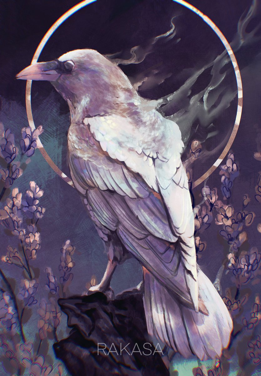 Have a little albino crow and hopefully a great day too! 💜