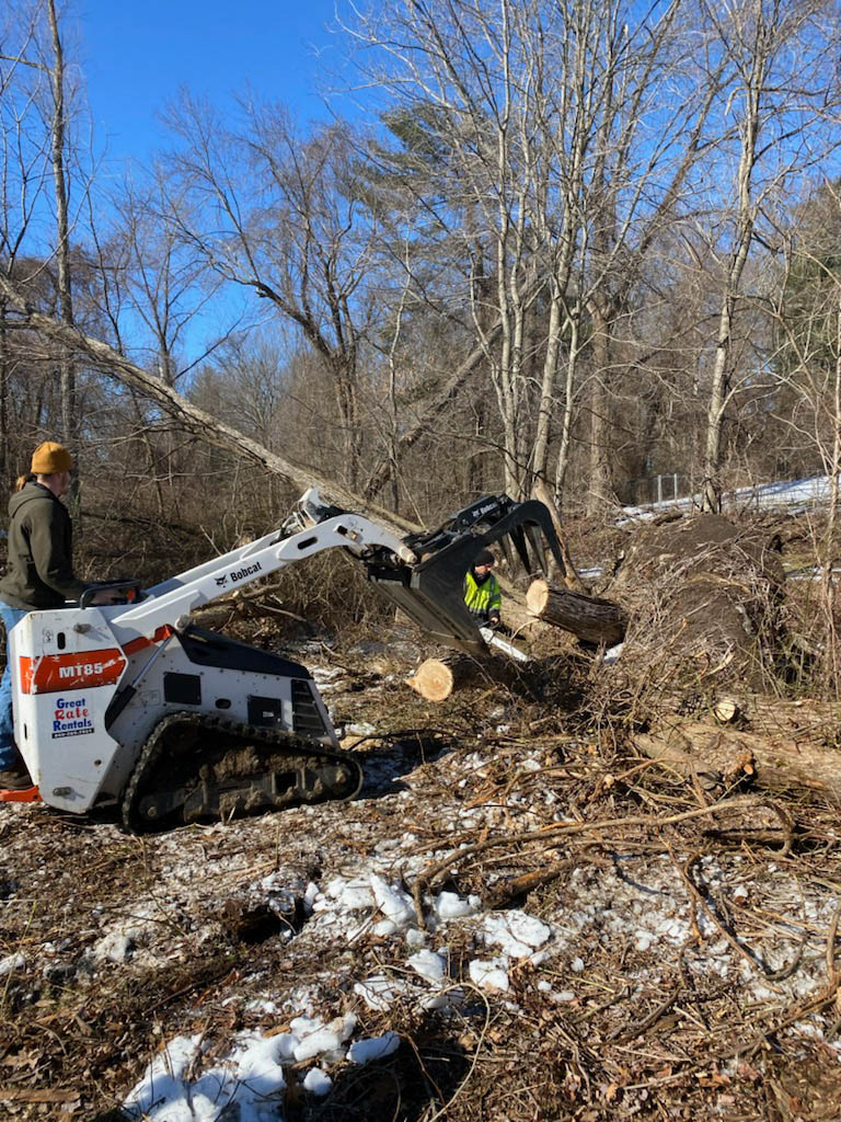 RayTheTreeGuy's tweet image. Whether you have an old tree in your yard or view it as an obstruction, Ray The Tree Guy offers tree take-down services to have it pulled up and hauled away, roots and all. Contact us today! 
 
#EastHartfordCT #TreeTakeDown #HazardousTreeRemoval bit.ly/3fmCvlv