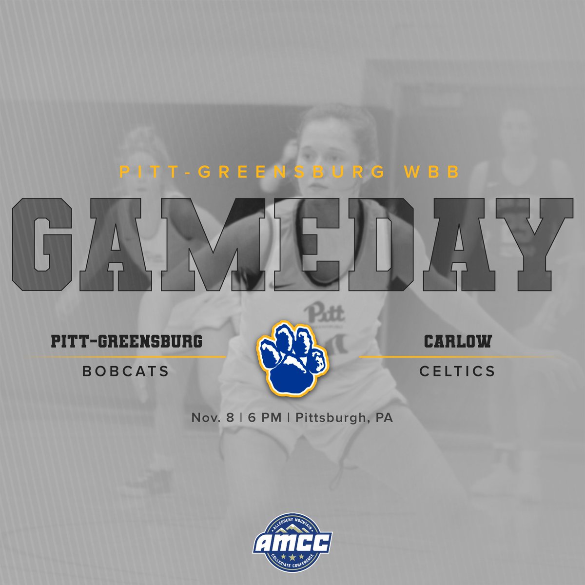 READY FOR TIP OFF!

🆚Carlow
⌚️6 PM
📍Pittsburgh, PA
📺portal.stretchinternet.com/carlow/
📊naiastats.prestosports.com/sports/wbkb/sc…