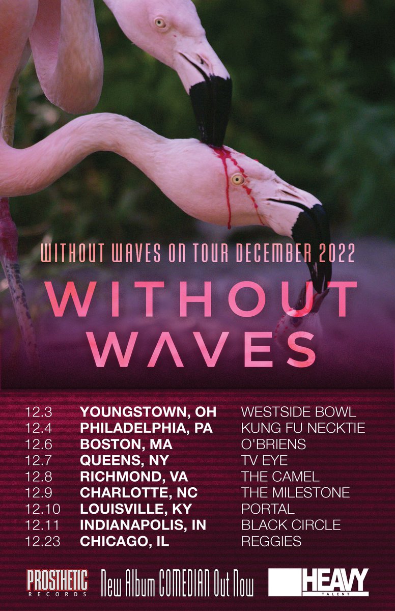 Without Waves tweet media