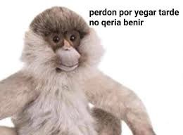 Yo todos los días llegando al trabajo.