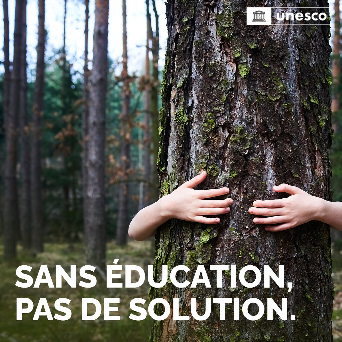 UNESCO en français tweet media
