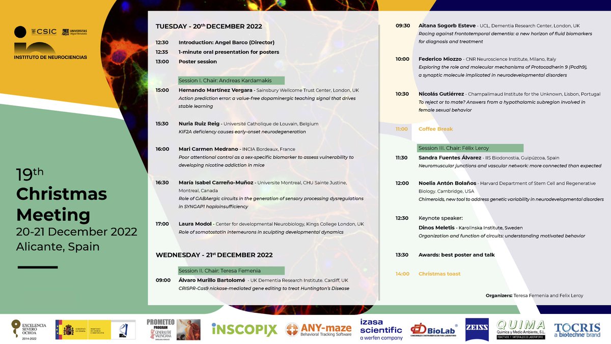JuanLerma1's tweet photo. Here is the programme of our next Xmas Meeting @NeuroAlc. Thanks to @FelixFelxfel and Teresa Femenia for putting together such an interesting programme. @CSIC @UniversidadMH https://t.co/K93NM7cvgP