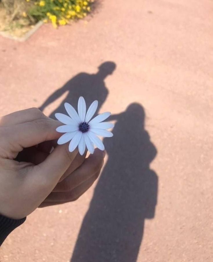 IrinaNikx's tweet image. 🌼🧡