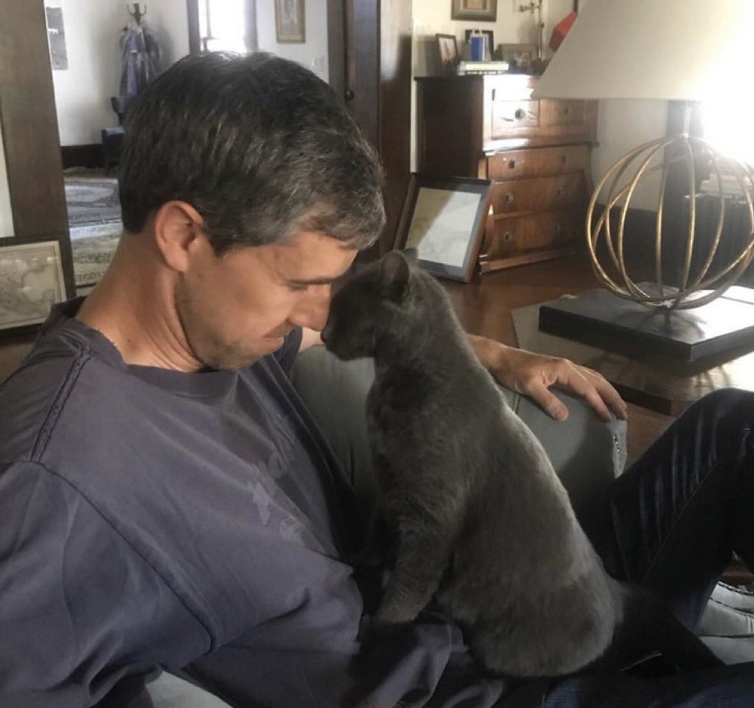 First_Dog_USA's tweet photo. 🐾💙Texas, you know what to do. Vote for our dad @BetoORourke! - Artemis &amp; Silver #BetoForGovernor #BetoForTexas https://t.co/UxzMkJu9hc