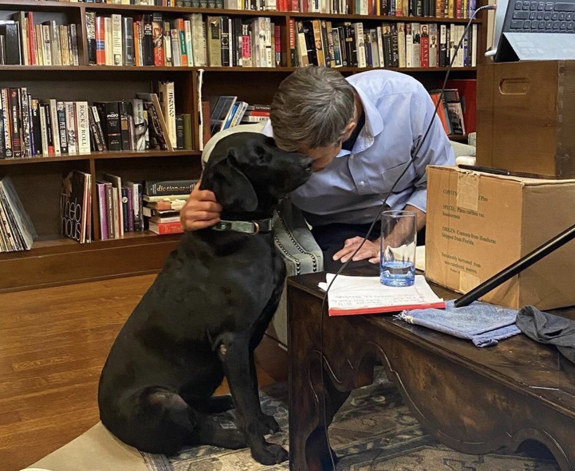 🐾💙Texas, you know what to do. Vote for our dad <a href="/BetoORourke/">Beto O'Rourke</a>! - Artemis &amp; Silver #BetoForGovernor #BetoForTexas
