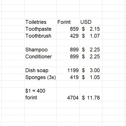 #studenttakeover Check out some of the prices for average items that a study abroad student might spend here in Hungary! 🍓🥦🍞 These are compiled from my most recent shopping trip here in Pécs. Pécs has many big-name grocery stores and a large mall where students shop! 
🪐Sophie