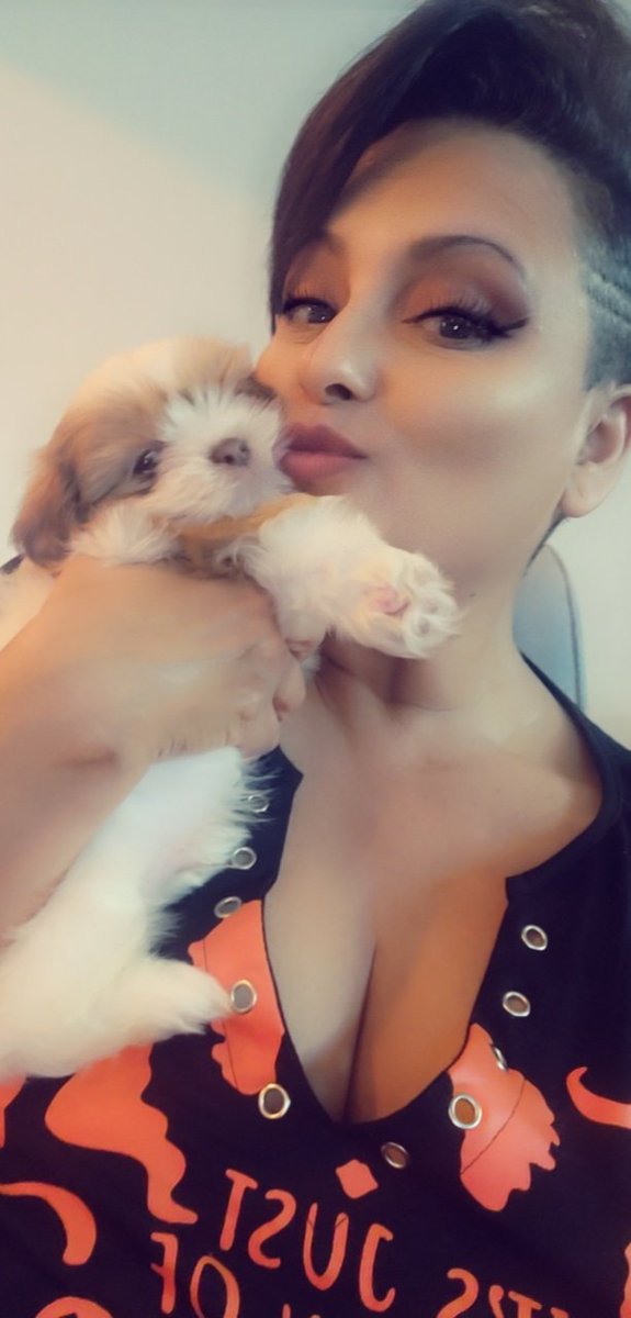 beebeelc's tweet photo. Cute little friend came to visit me today! #puppylove #puppy #furbaby #femalebarber https://t.co/KUim2iGv3i