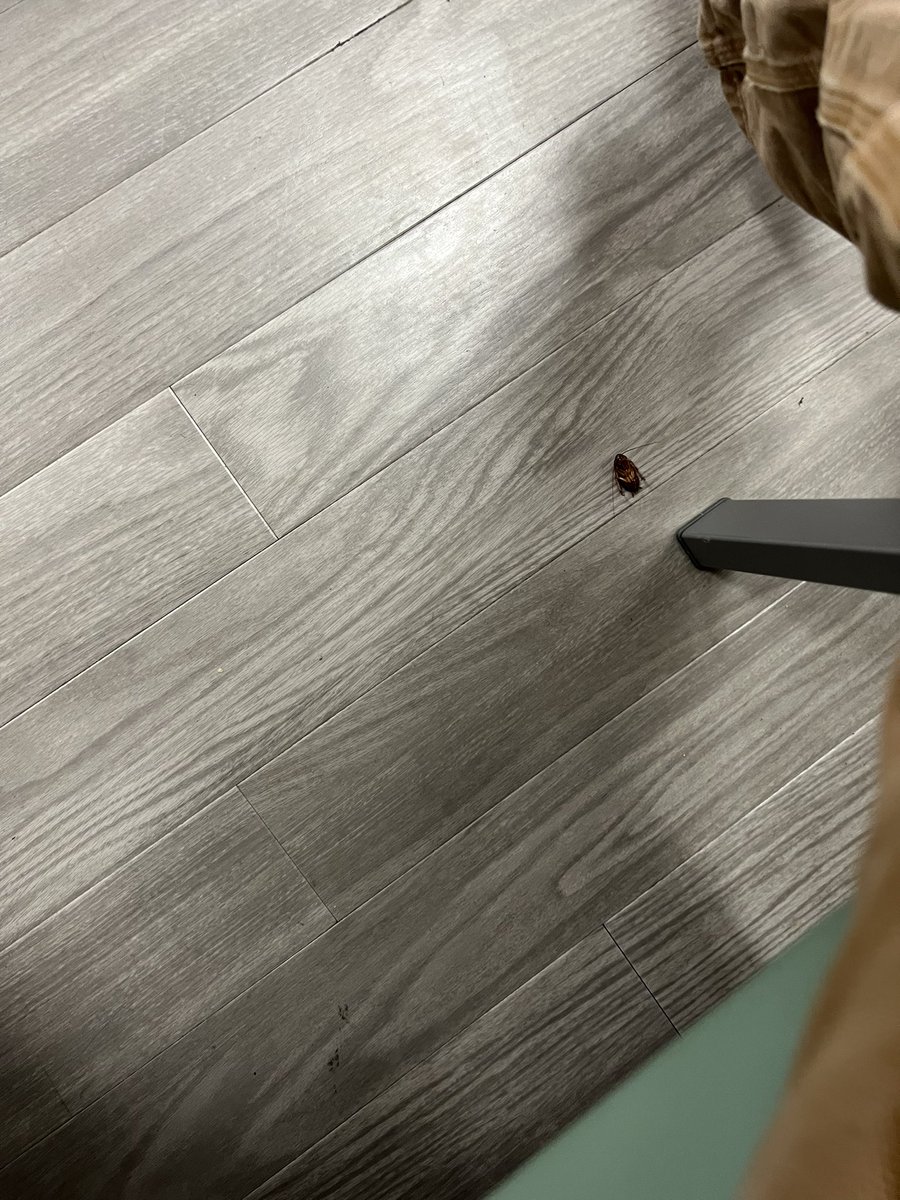 Welcome to the department of veteran affairs. No he didn’t wash his hands.