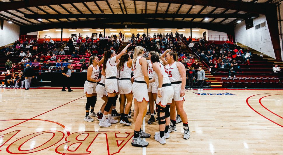 ceterawarren tweet media