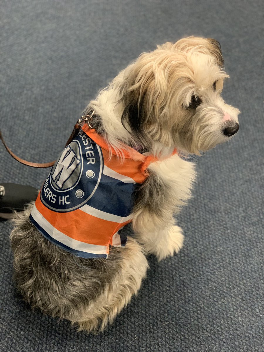 Dropping the puck alongside @drrmonarrez & @kimberly_salmon at @RailersHC 5th annual @worcesterpublic game with more the 5,000 elementary and middle school students in attendance. How sweet is Kelly the rail yard pup?!