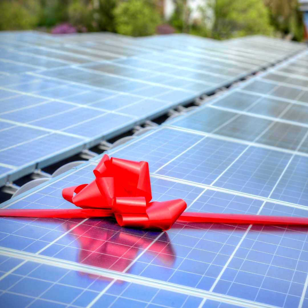 digitalkaphaiti's tweet photo. What your friends and family in Haiti really want for Christmas.
#gosolarhaiti #DigitalKap #greenenergy #solarpower #solarenergy #Haiti #caribbean #solarfuture https://t.co/4YAsXQbkmL