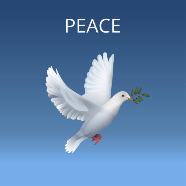 abdirahmanrabah's tweet photo. PEACE is preliminary need for human being. It is our collective responsibility to collaborate on peaceful and prosperous HoA. @iyoba4u @DrMohaAbdulahi
#PEACE4Ethiopia
#PEACE4Tigrai
#PEACE4Africa
#PEACE4World https://t.co/6nbDQ4E9il