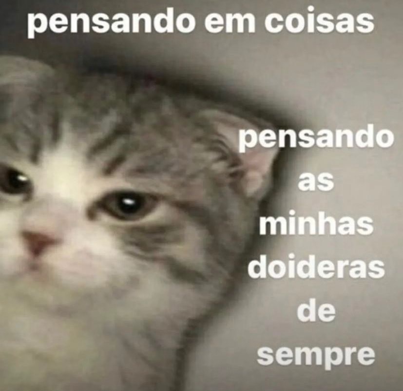 Frases aleatórias em baixa qualidade (@fraseslowqualit) on Twitter photo 