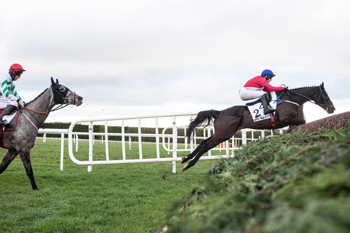 NaasRacecourse's tweet photo. NEWS🗞️

Ferny Hollow among A-listers as jump racing returns to Naas.

Cheltenham Festival heroes and Grade 1 performers will be the order of the day as jump racing returns with a bang on Saturday.

Full story 👉https://t.co/8vjEvVoJkJ https://t.co/8xyxFdews4