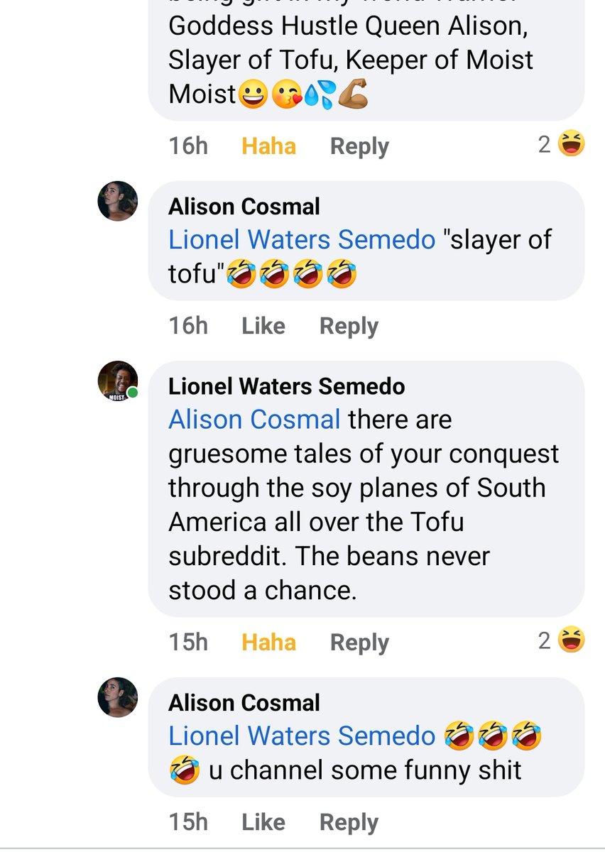 COSMAL_'s tweet photo. "Slayer of tofu" I will humbly accept that title  🤣 https://t.co/TvXPGkc730