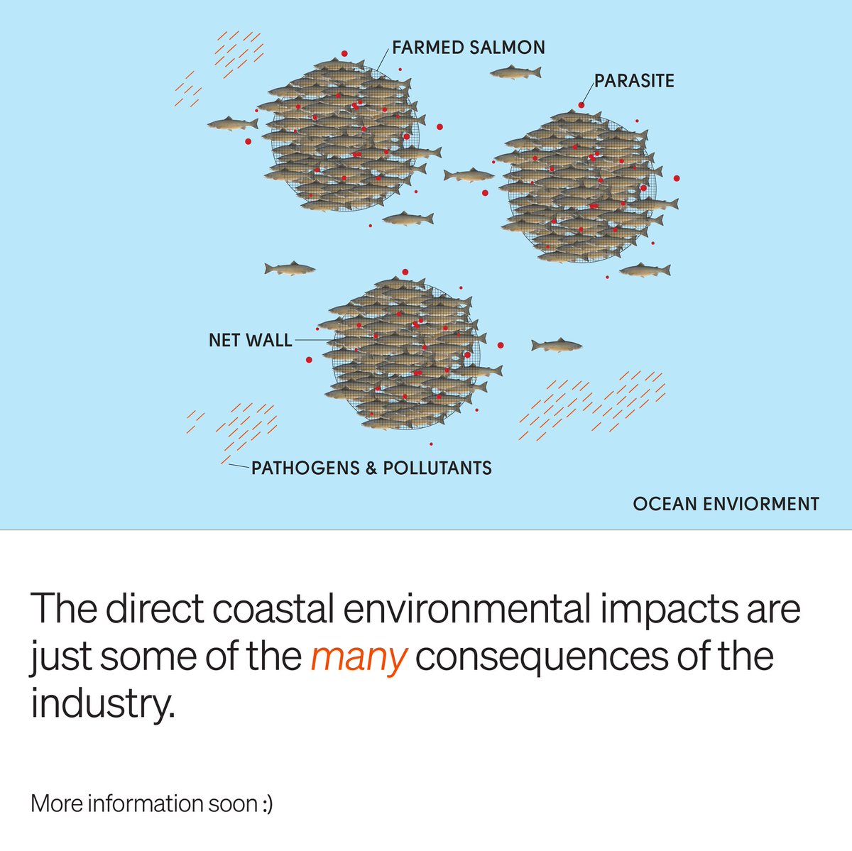 the_gsfr's tweet image. What is Salmon Farming? Open net salmon farms are massive ocean feedlots where millions of salmon are crammed into parasite-plagued cages the size of a football field, and fed a chemical-laced diet. #toxicsalmon #salmonindustry #the_gsfr #fishfarmsout
