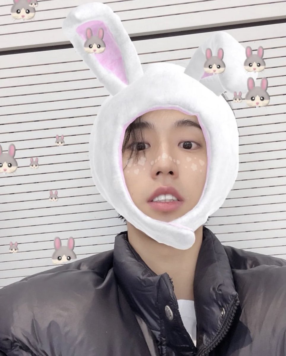 jisungers que amamos ver o jisung revivendo os filtros do lee know, pode continuar!!!
