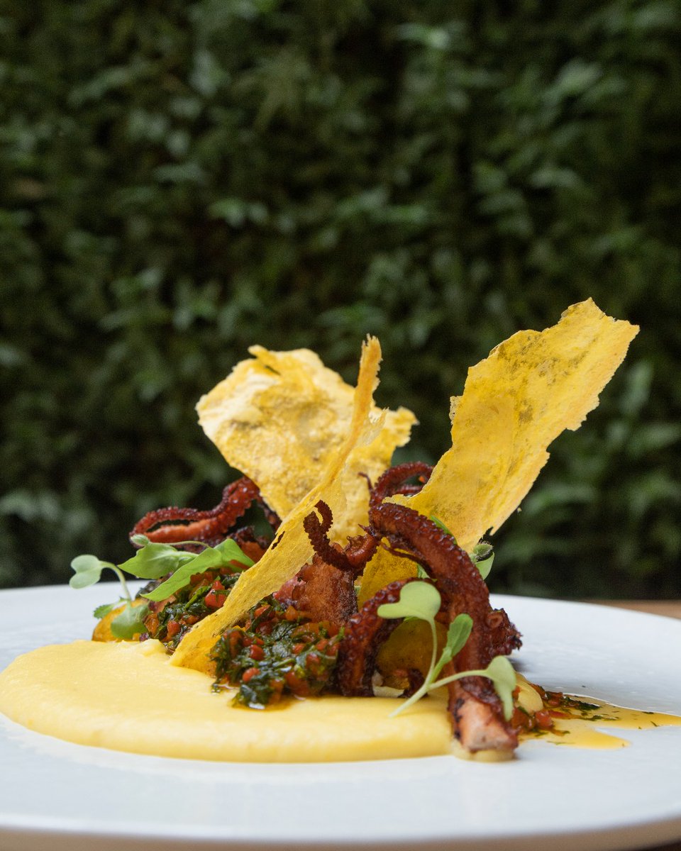 FSCasaMedina's tweet image. Delight yourself with the flavors and colors of the dishes in our Spanish restaurant #Castanyoles.
📍 #FSCasaMedina @castanyoles