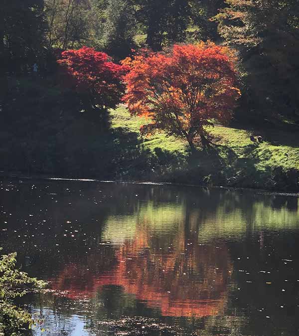 Paramount Plants tweet media