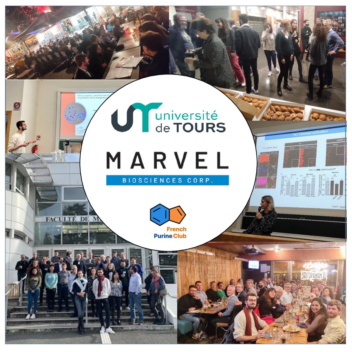 FrenchPurine's tweet image. Merci également aux sponsors de ces premières journée du #French Purine Club #FPC2022
@UnivTours @FacmedTours