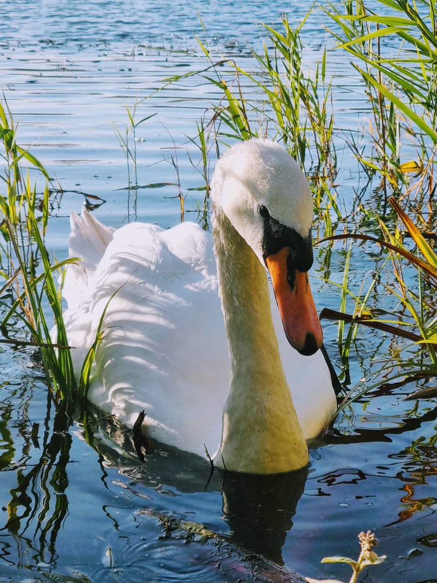 Come to say Hello?
#HELLO #Friendly #wildlife #NatureForLife