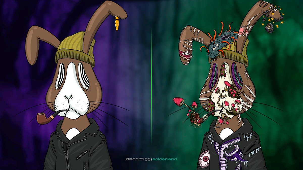 I love mushrooms, do you? 🍄🧪 #MutantBunnies