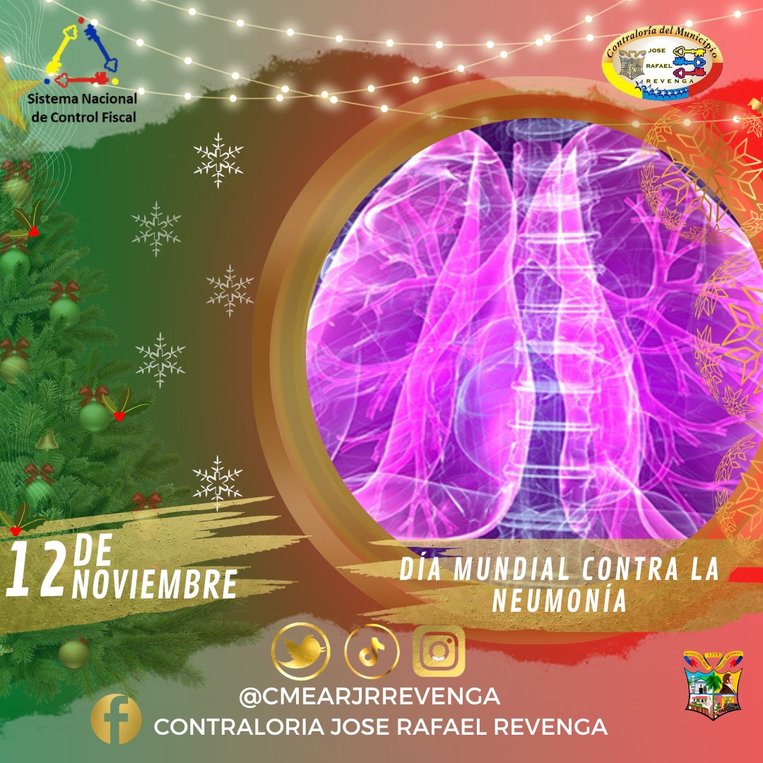 CMEArJRRevenga's tweet photo. #TalDiaComoHoy #12DeNov 📅 Día Mundial contra la Neumonía se desea sensibilizar al público acerca del problema de salud pública que constituye la neumonía y ayudar a prevenir la perdida de vidas que ocurre cada año causadas por esta enfermedad #neumonía @CGRVenezuela @MinSaludVE https://t.co/X7Z4oxbfN8