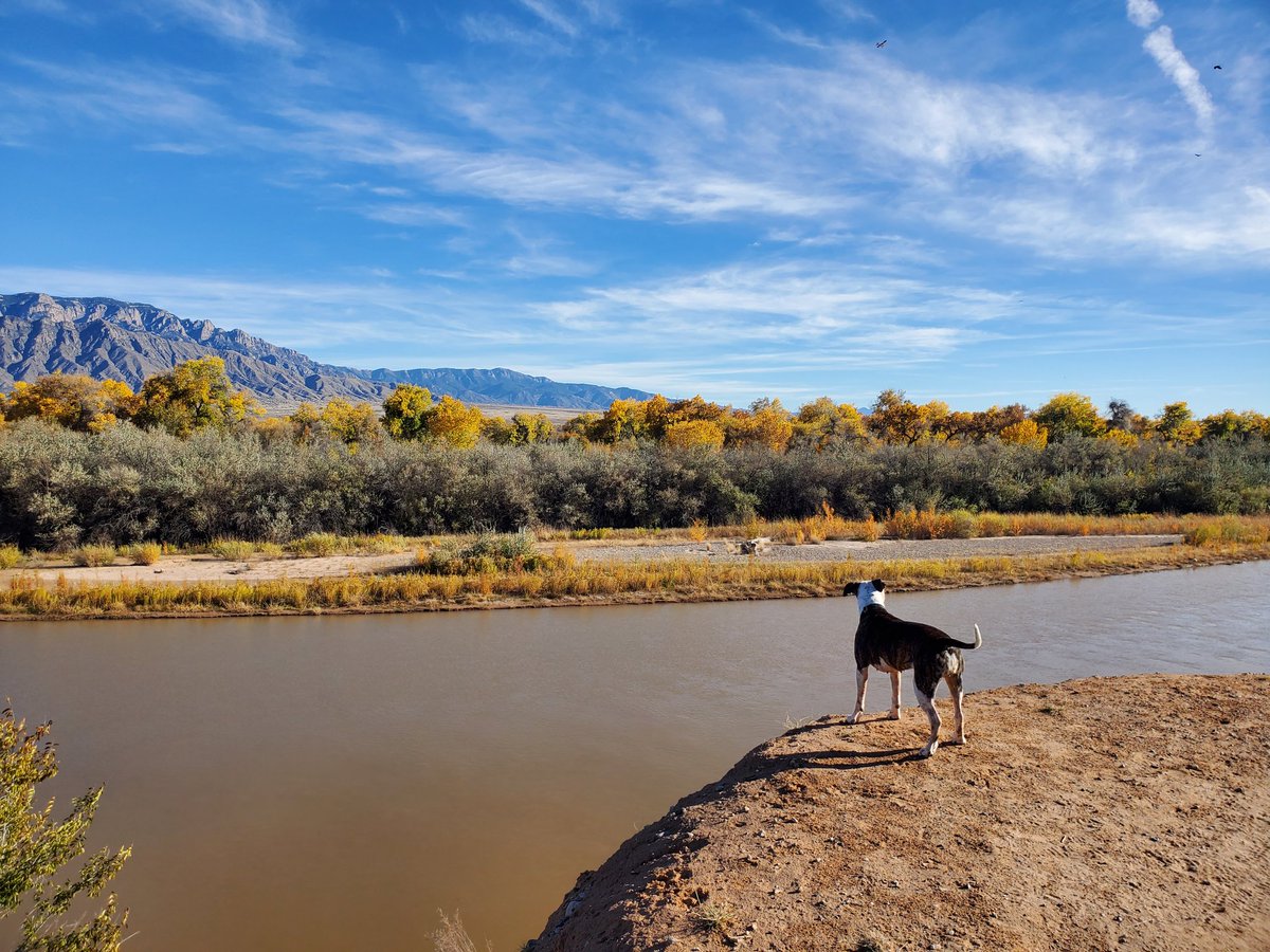 Beautiful NM. This is what Albuquerque looks like. Join us! <a href="/UNMRadiology/">UNM Radiology</a>